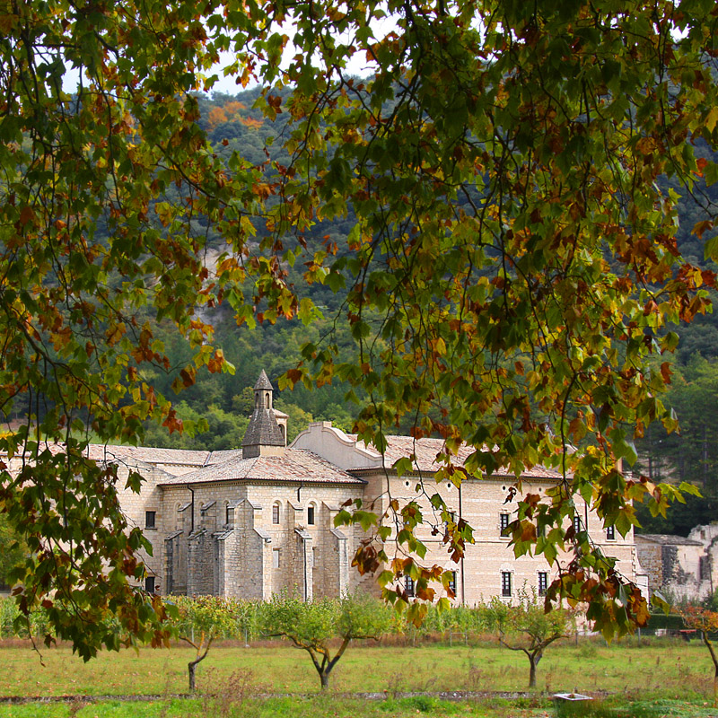 Monasterio de Irantzu tras unas ramas otoñales