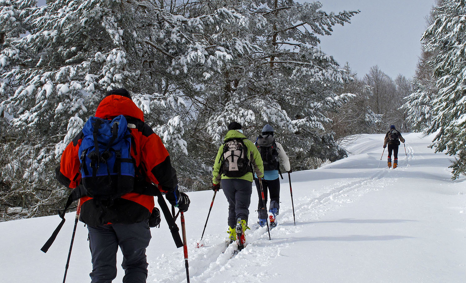 Cuatro excursionistas con raquetas de nieve en Irati-Abodi