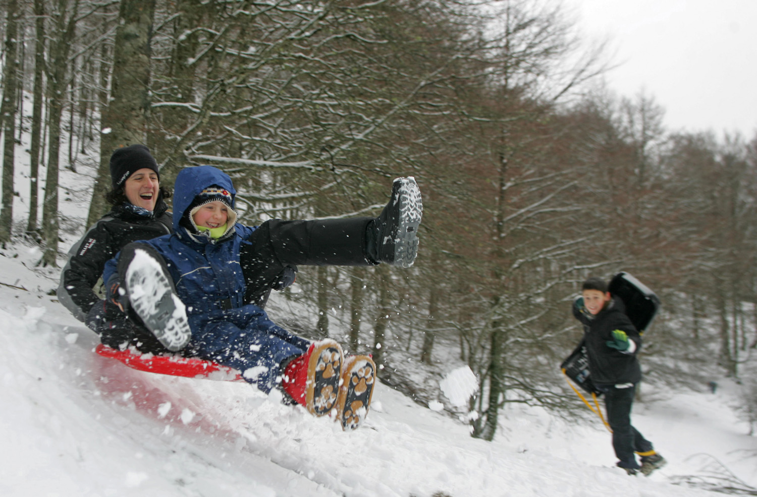 Family sled descent