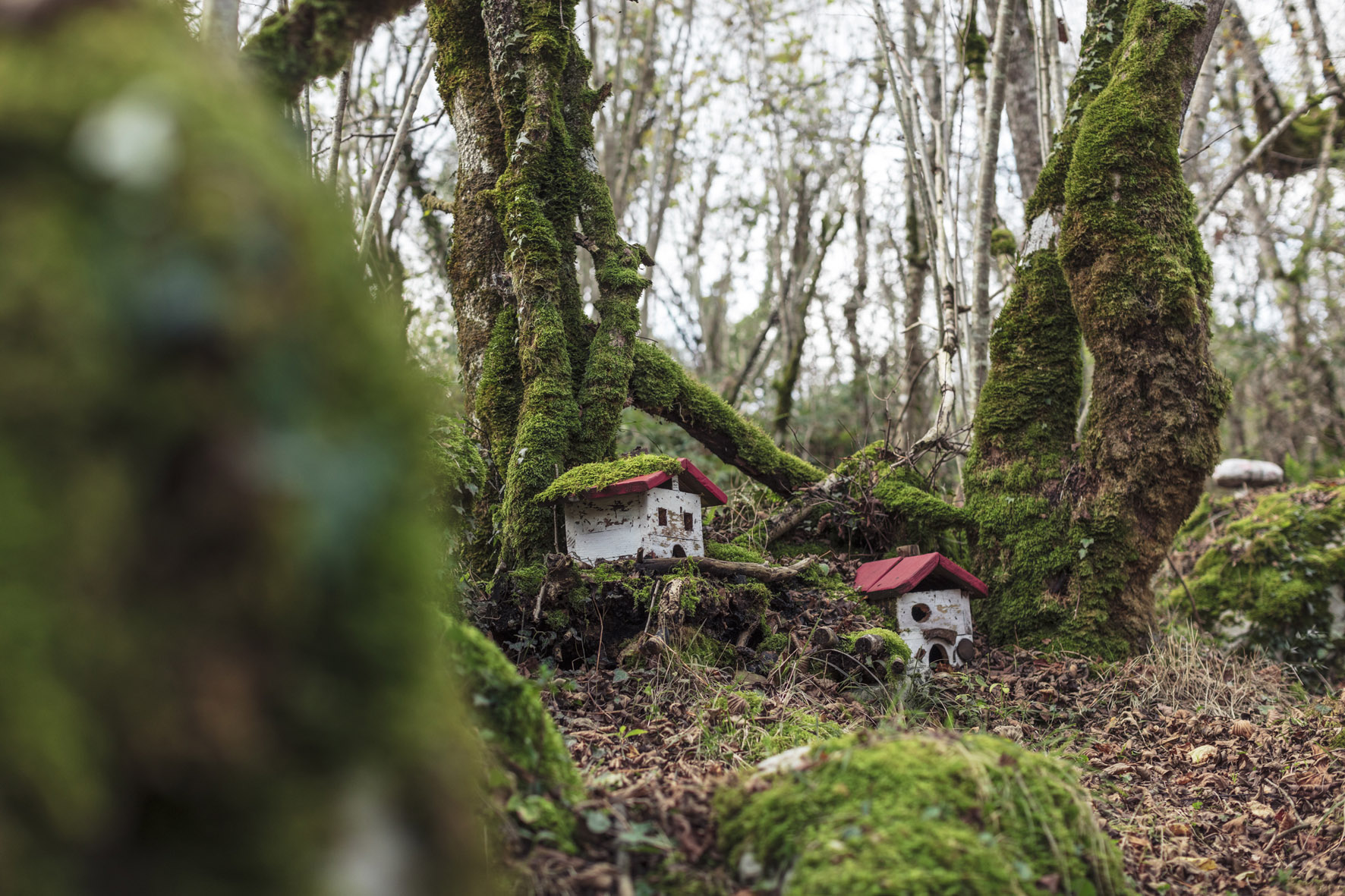 casitas pequeñas a los pies de los árboles