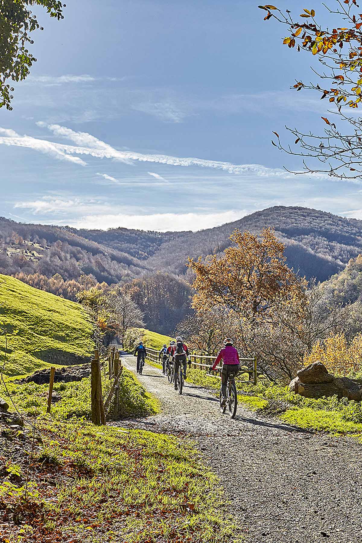 ciclistas por paisaje verde y otoñal