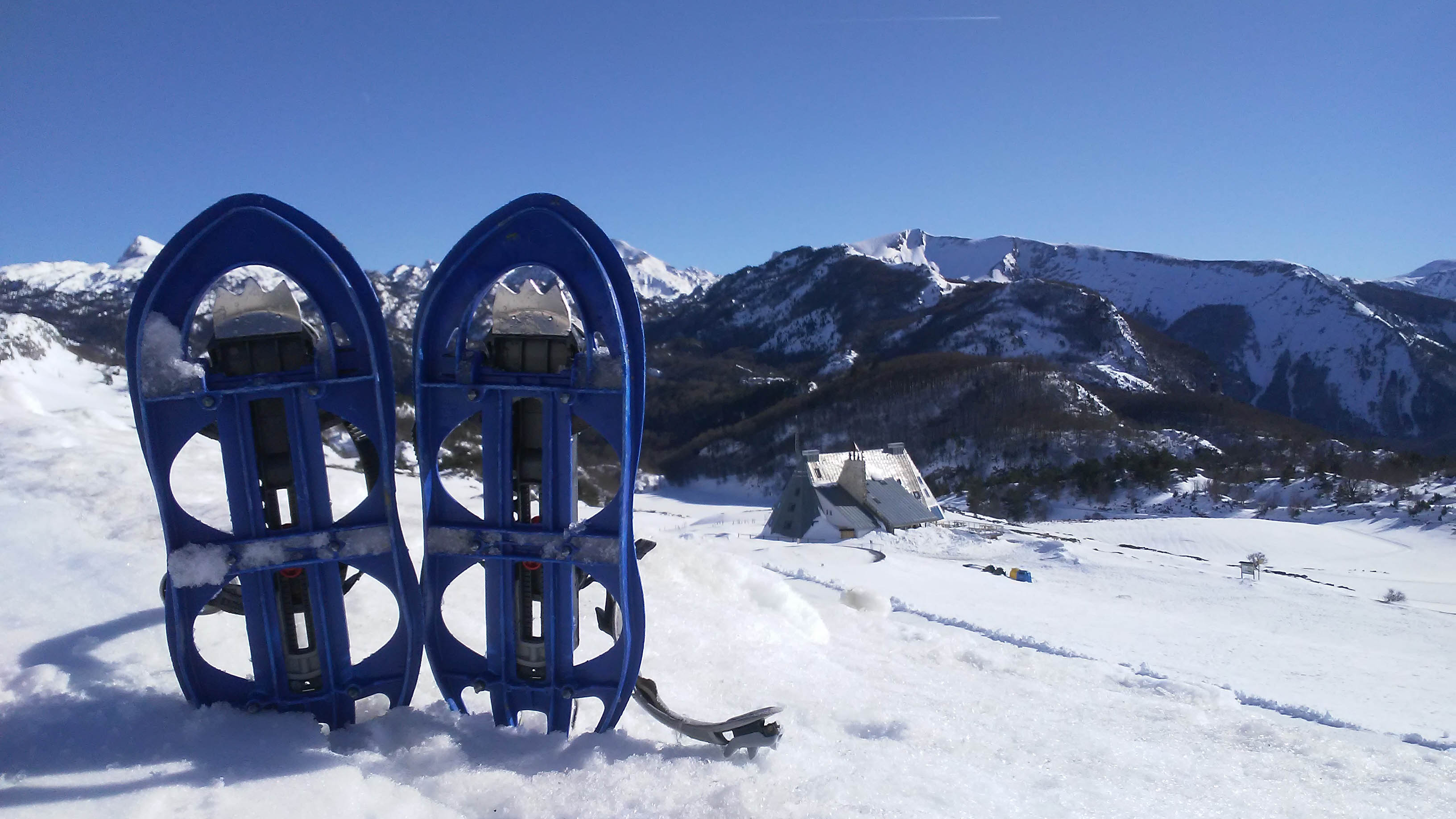 Interpretive snowshoeing in the Pyrenees