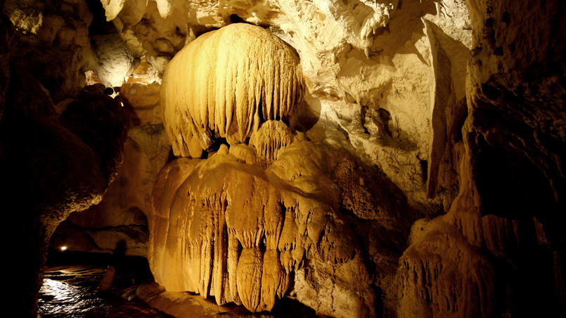 Visite guidée de la Grotte d'Urdax