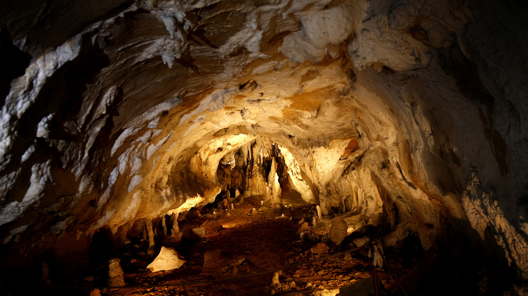 Visita guiada a la Cueva de Urdax