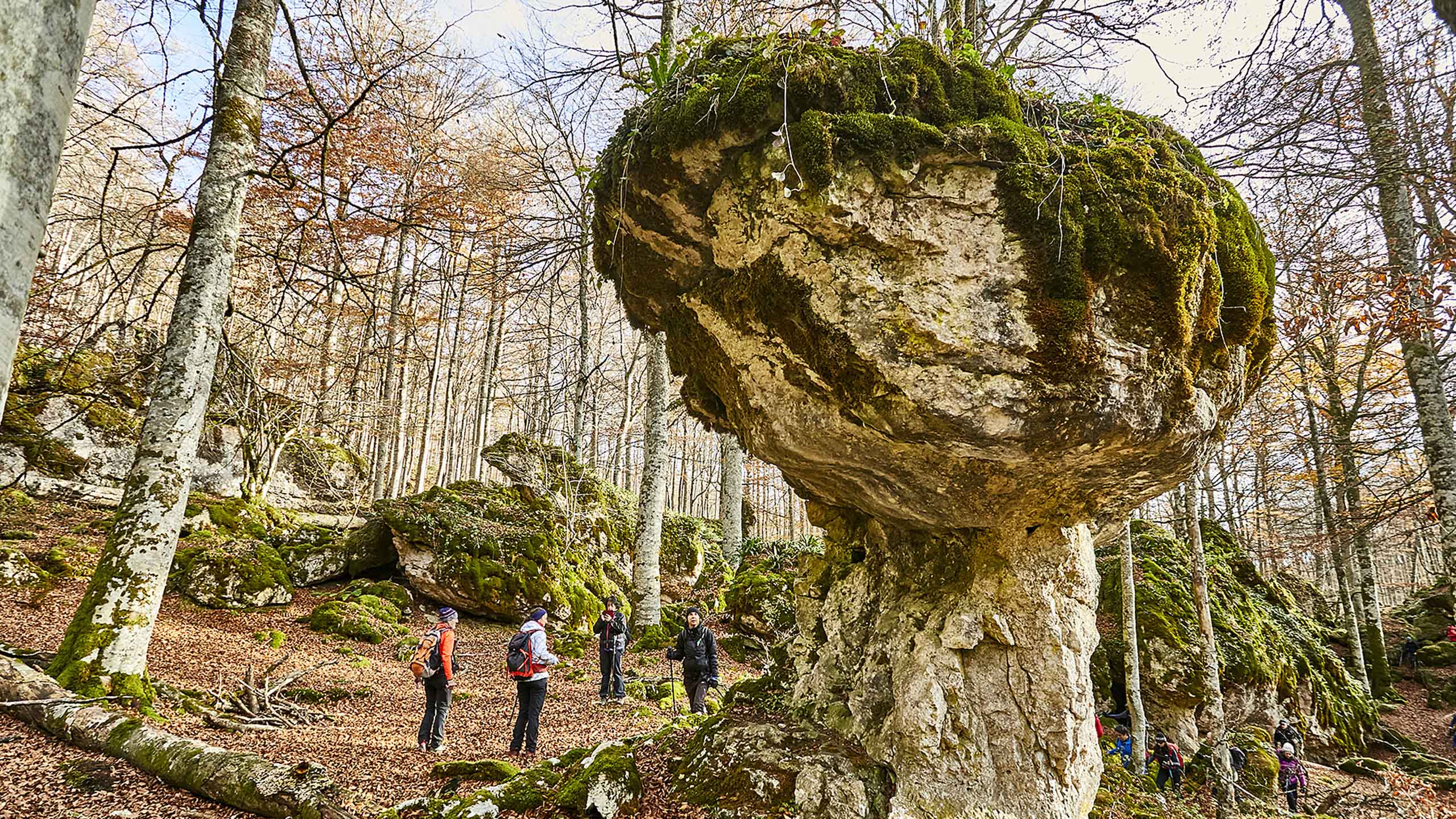 Grupo de montañeros