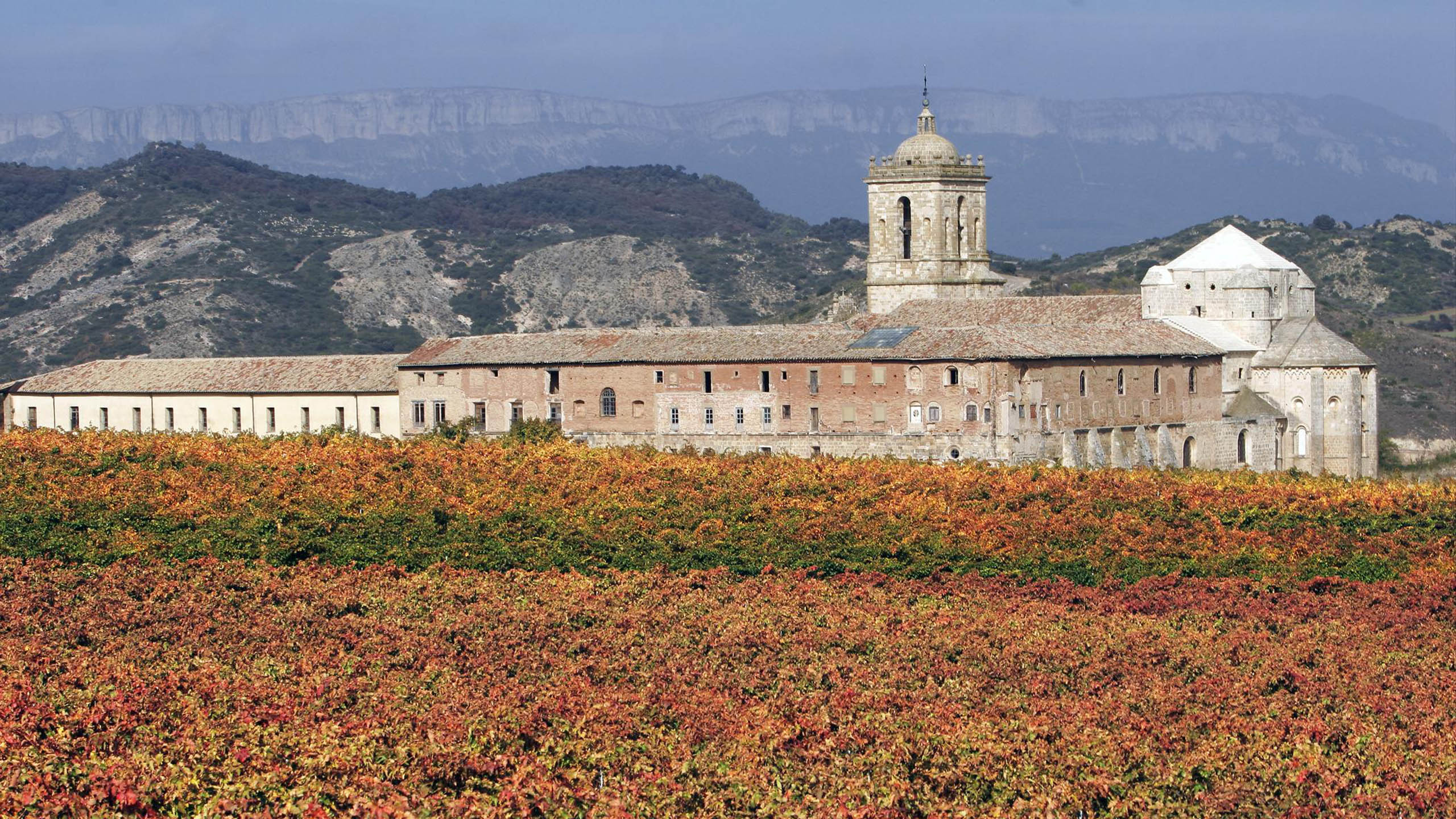 Picnic in front of the Pago de Larrainzar vineyard
