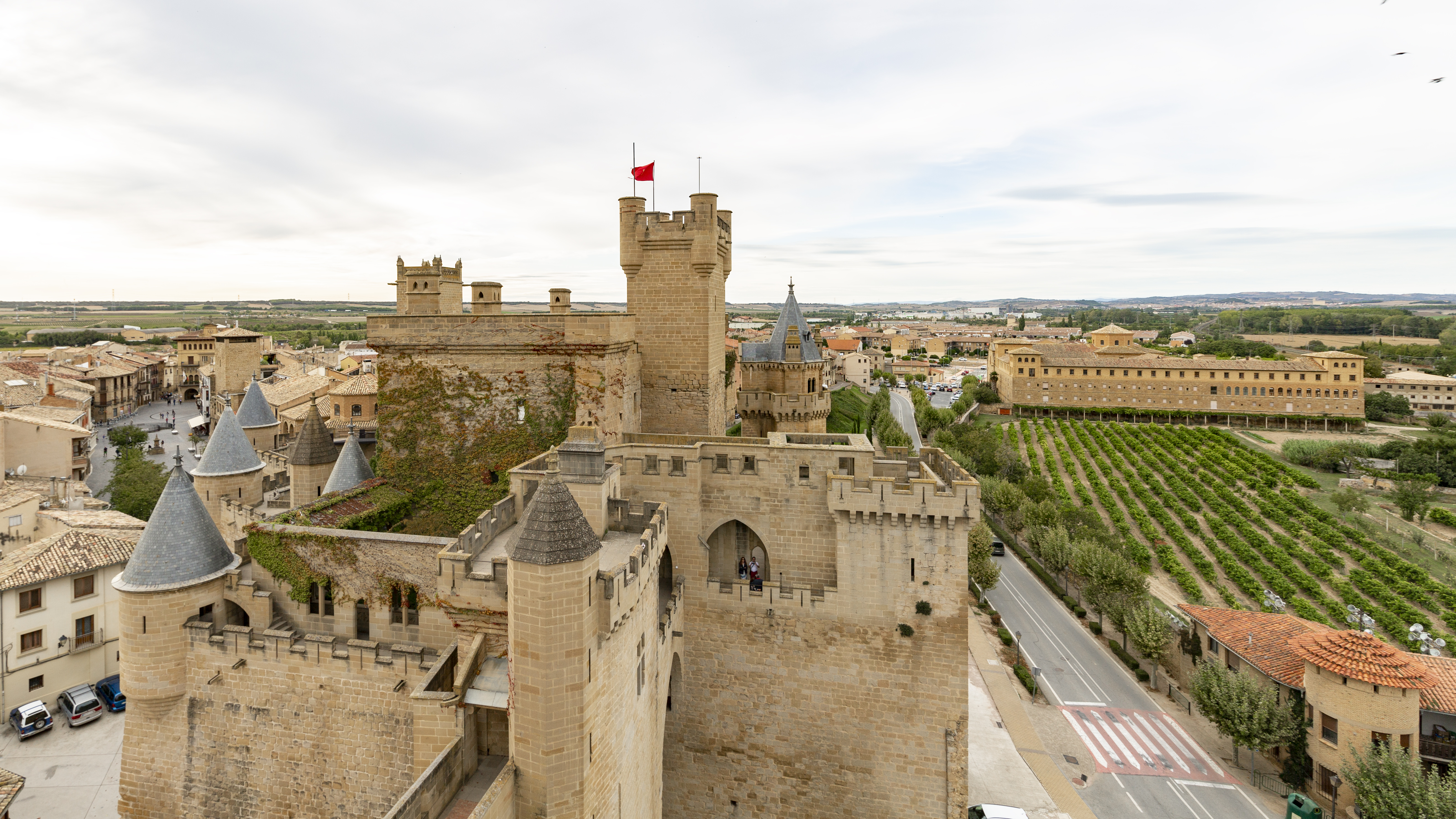 castillo de Olite