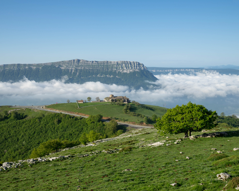 Vista del pueblo de Leitza entre las ramas de los árboles