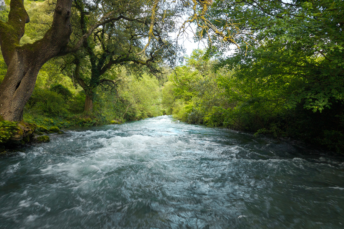 río con mucho caudal y árboles a los lados