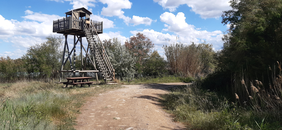 caseta de madera alta