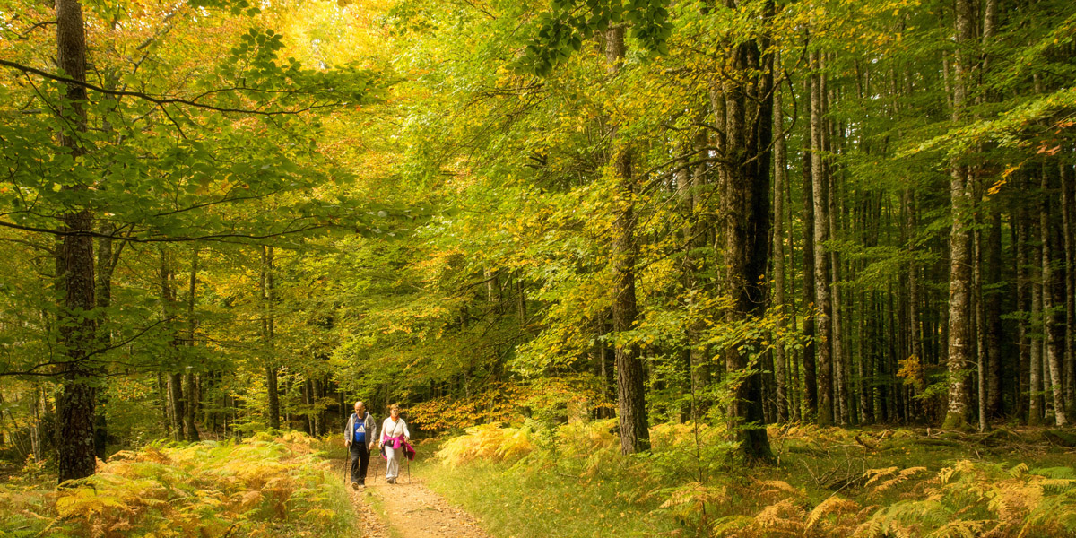 dos personas andando por Irati en otoño