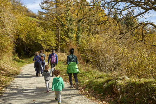 niños y adultos andando por la vía verde del Plazaola