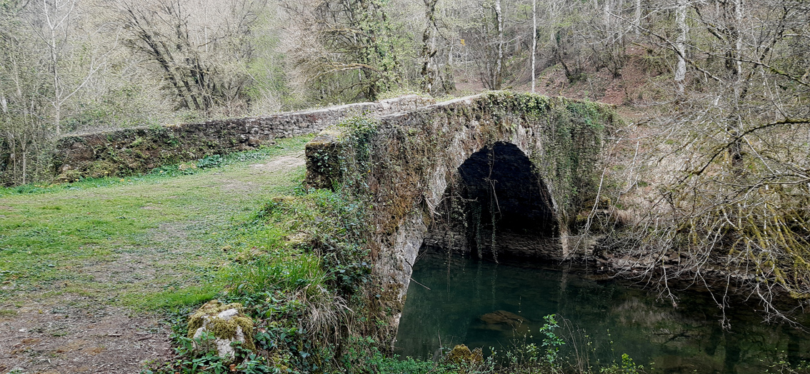puente de un arco de piedra sobre el río