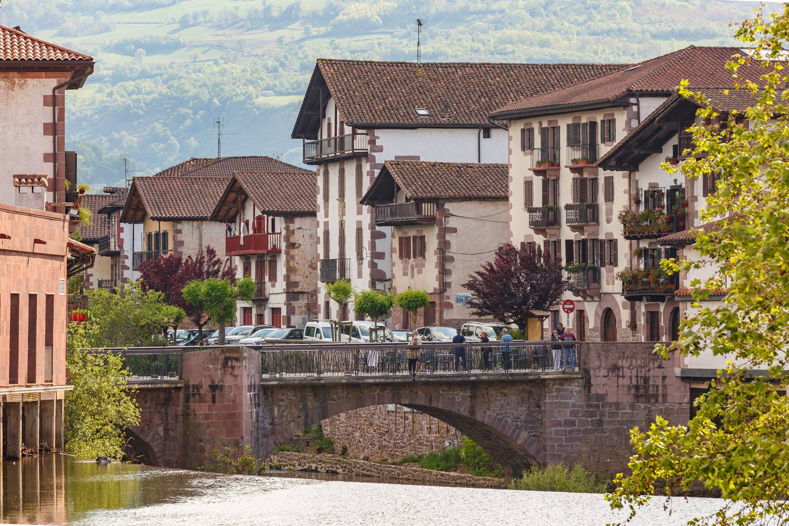 casas del pueblo de Elizondo