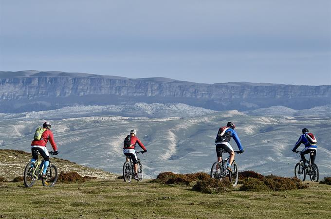 Vtt