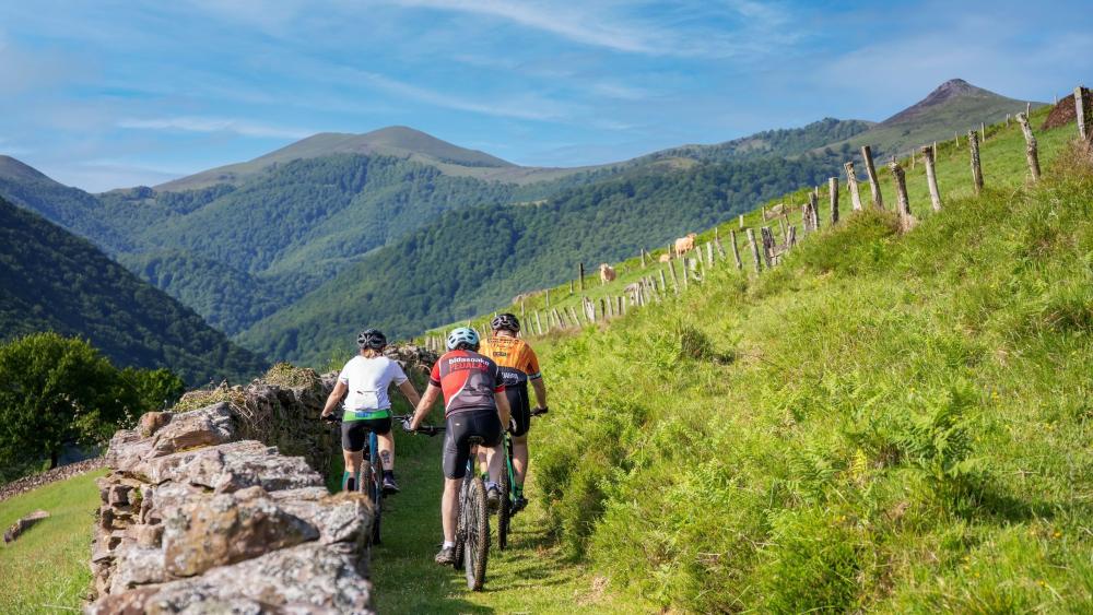 Tres ciclistas de espalda por un camino