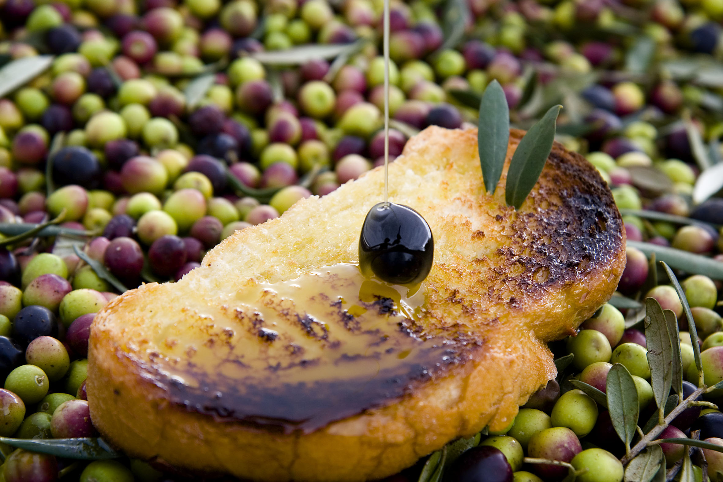 tostada con aceite sobre aceitunas