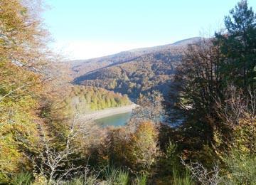 embalse rodeado de árboles