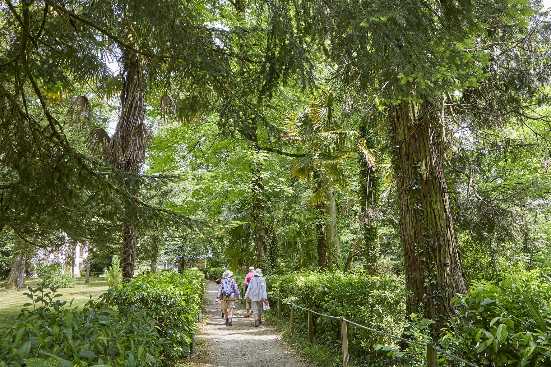 cuatro personas andando por el jardín de Bertiz