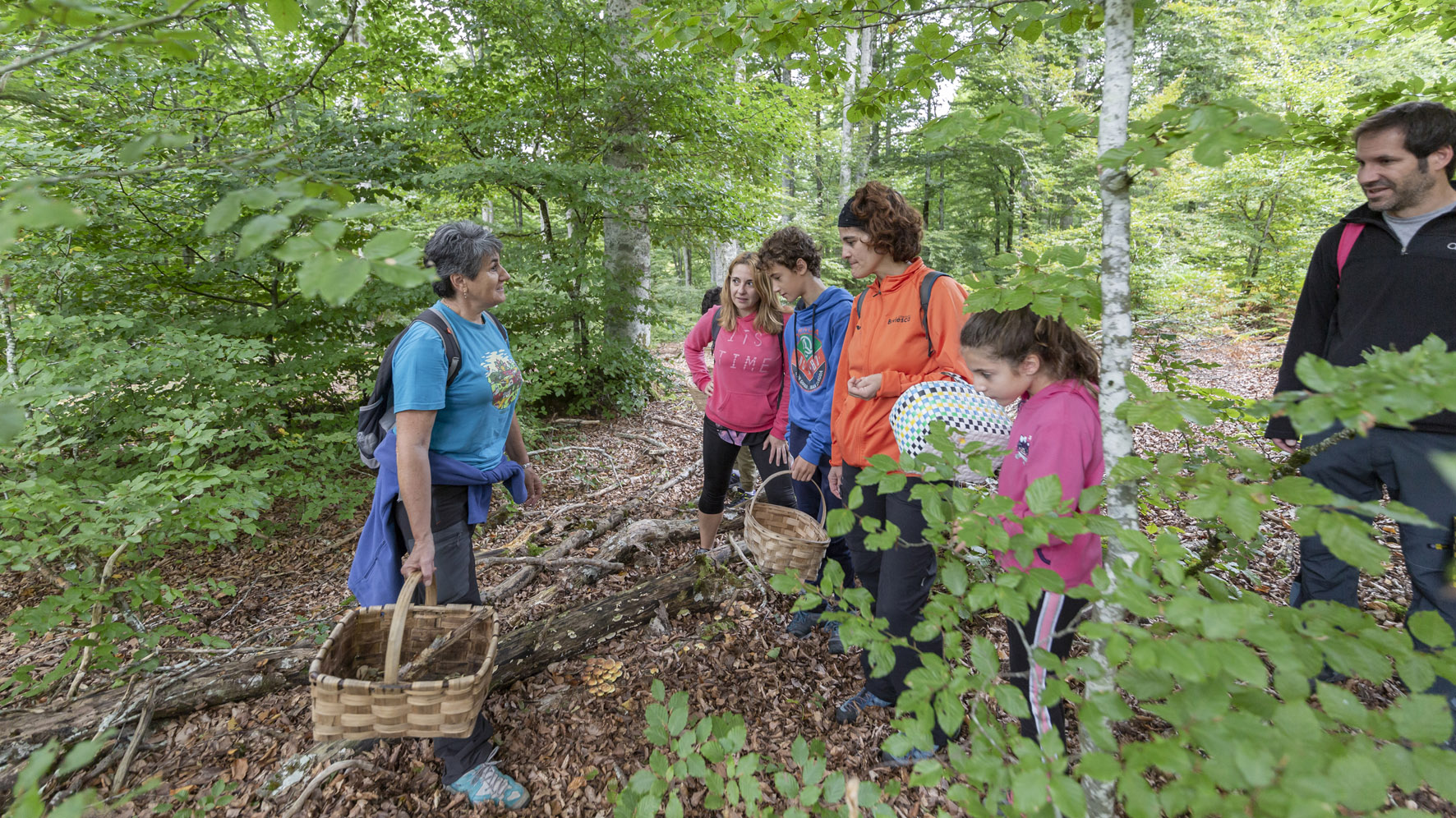 grupo de personas con cestas de mimbre recogiendo setas en un bosque