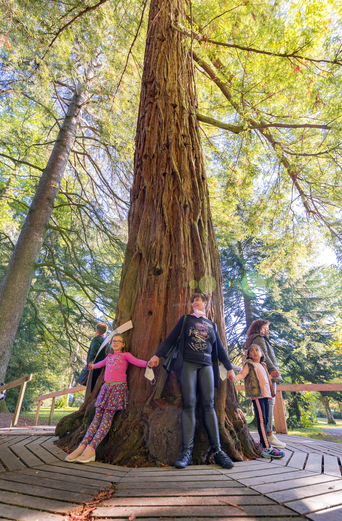 niños y adultos rodeando un árbol con brazos abiertos