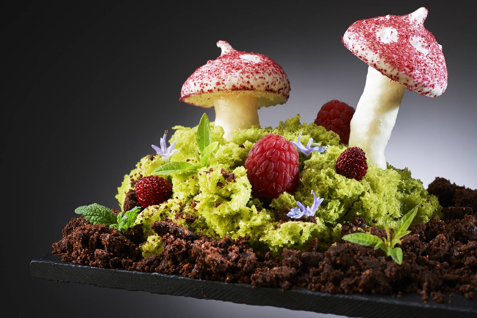 Gastronomy made in Navarre