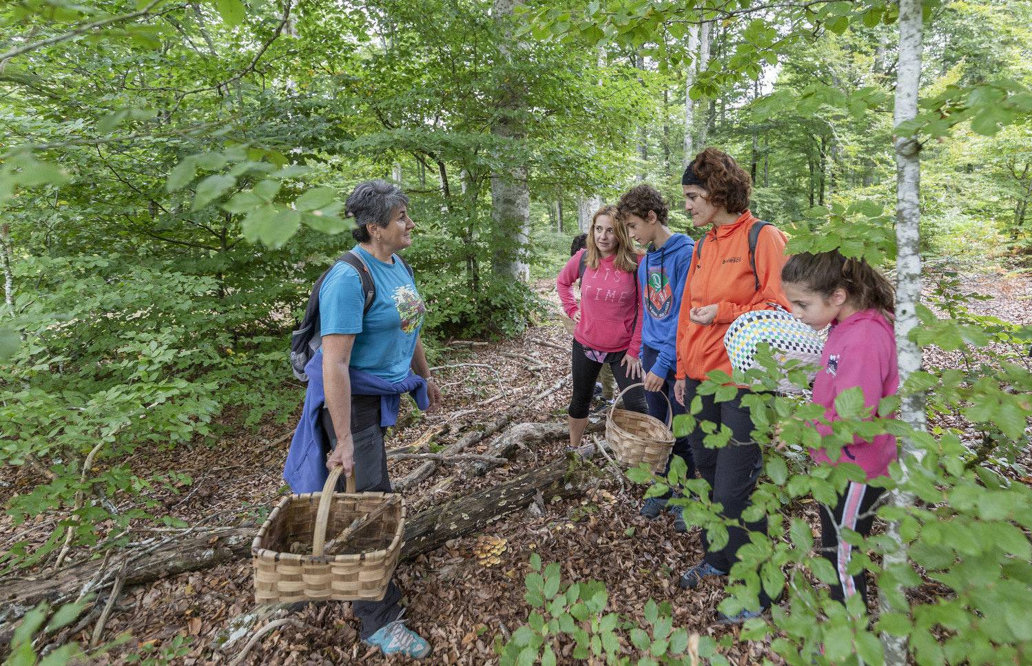 gente por el bosque cogiendo setas