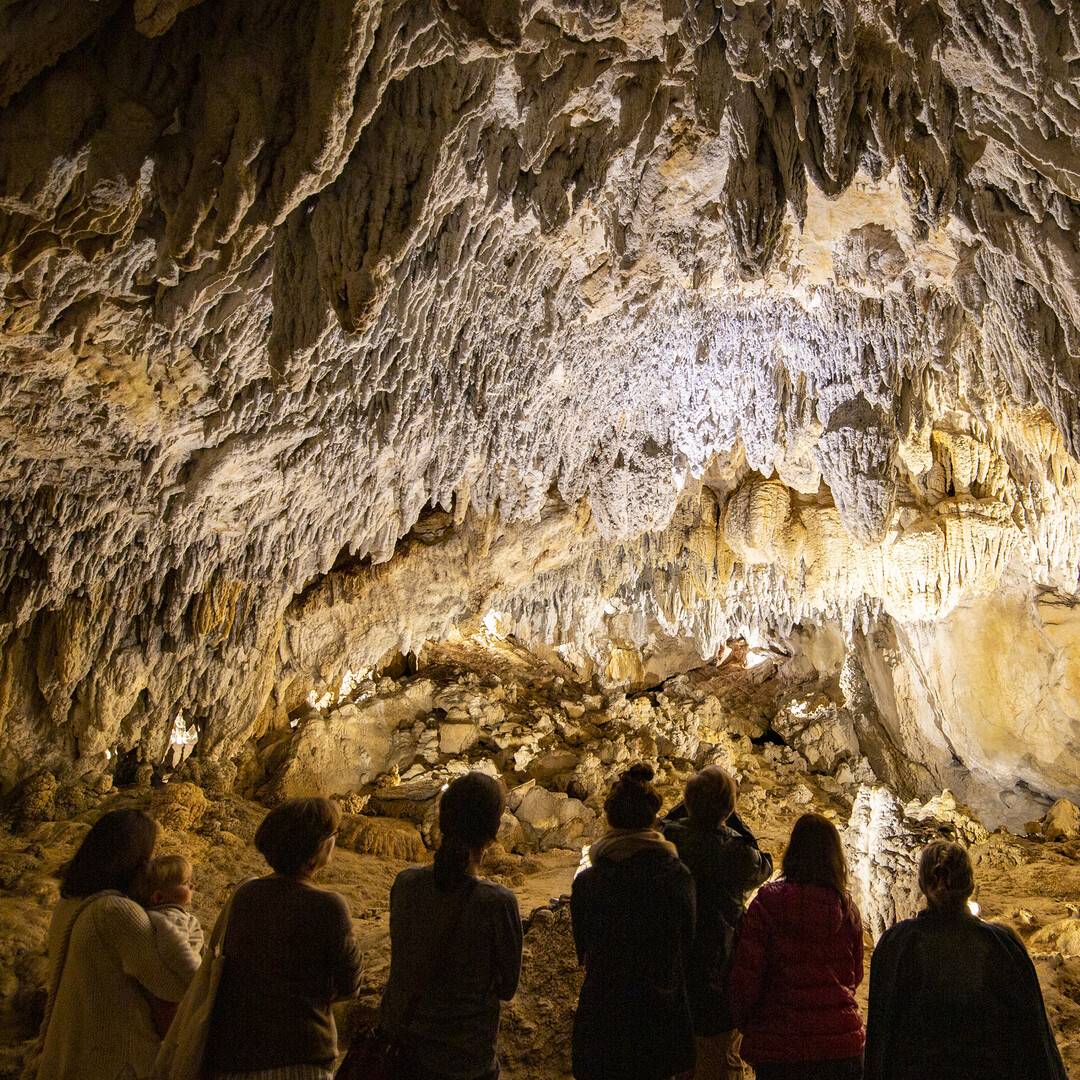 Un groupe admire les formations de la grotte d’Urdazubi/Urdax