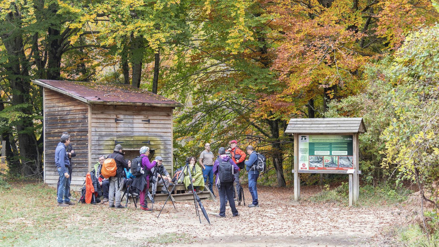 grupo de personas en un bosque para iniciar una visita
