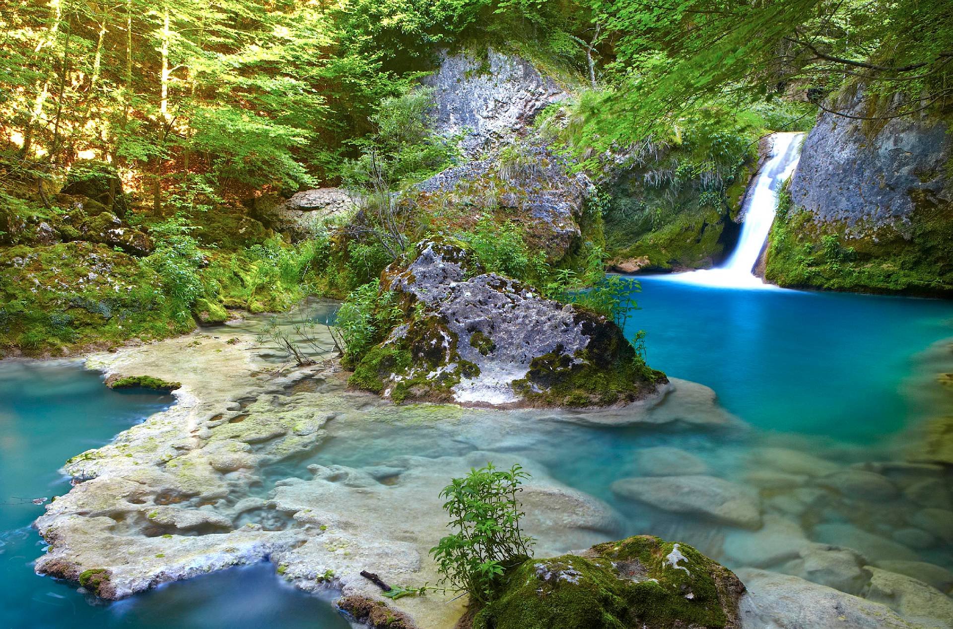 Get in contact with Nature