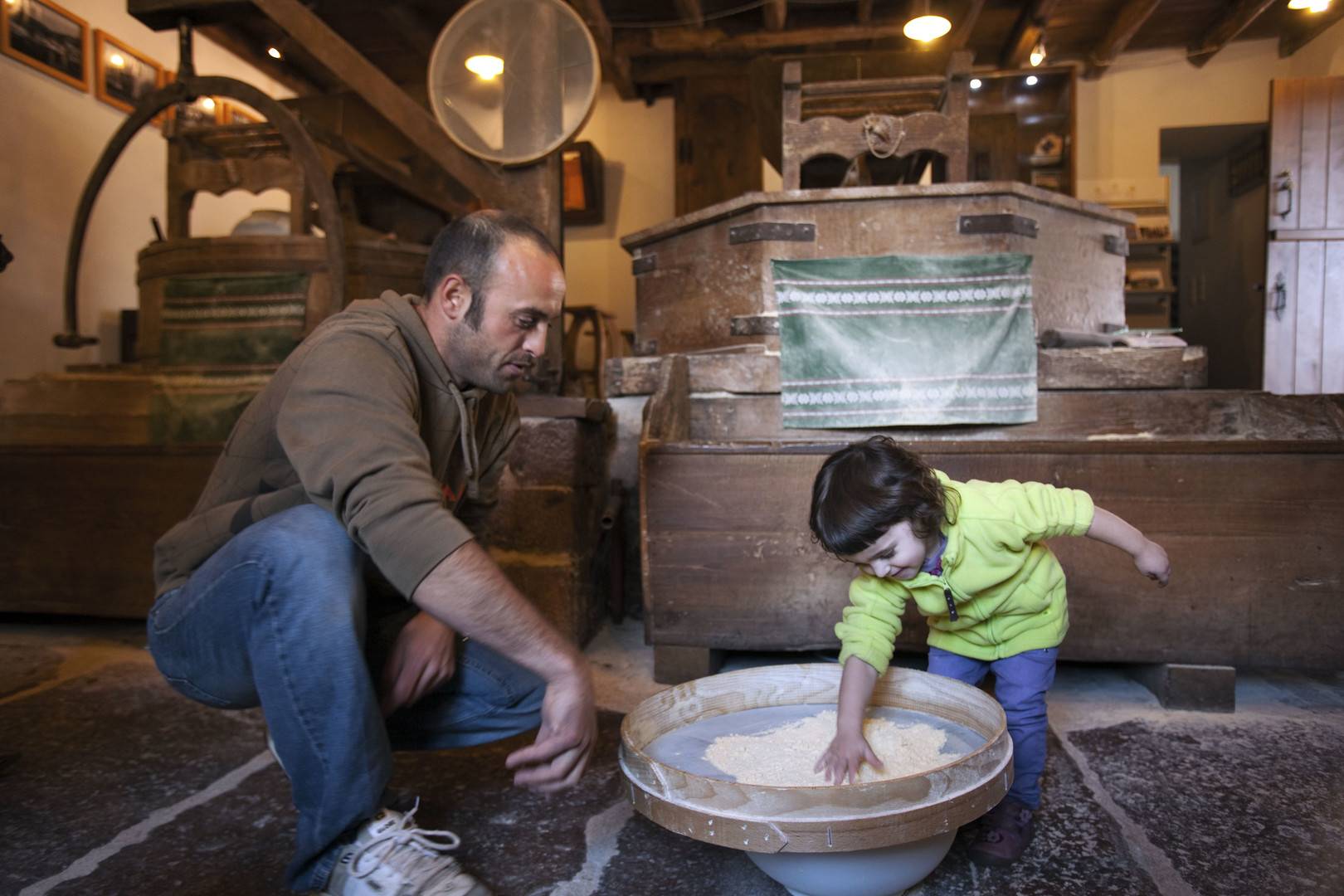 Amaiur Mill