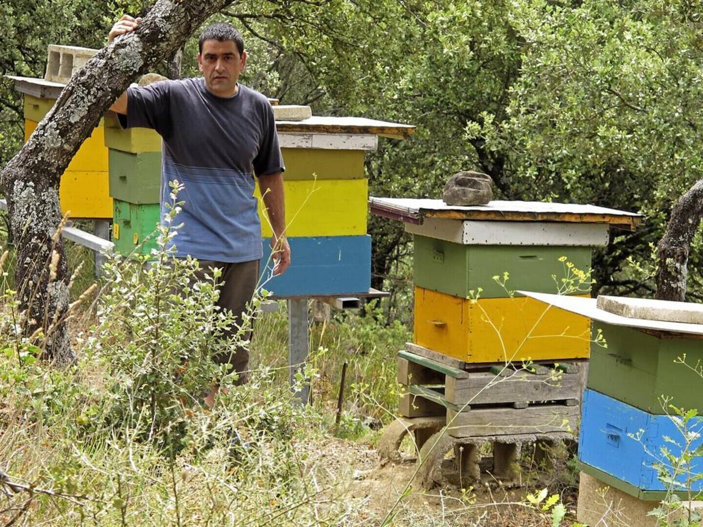 Gorena honey farm