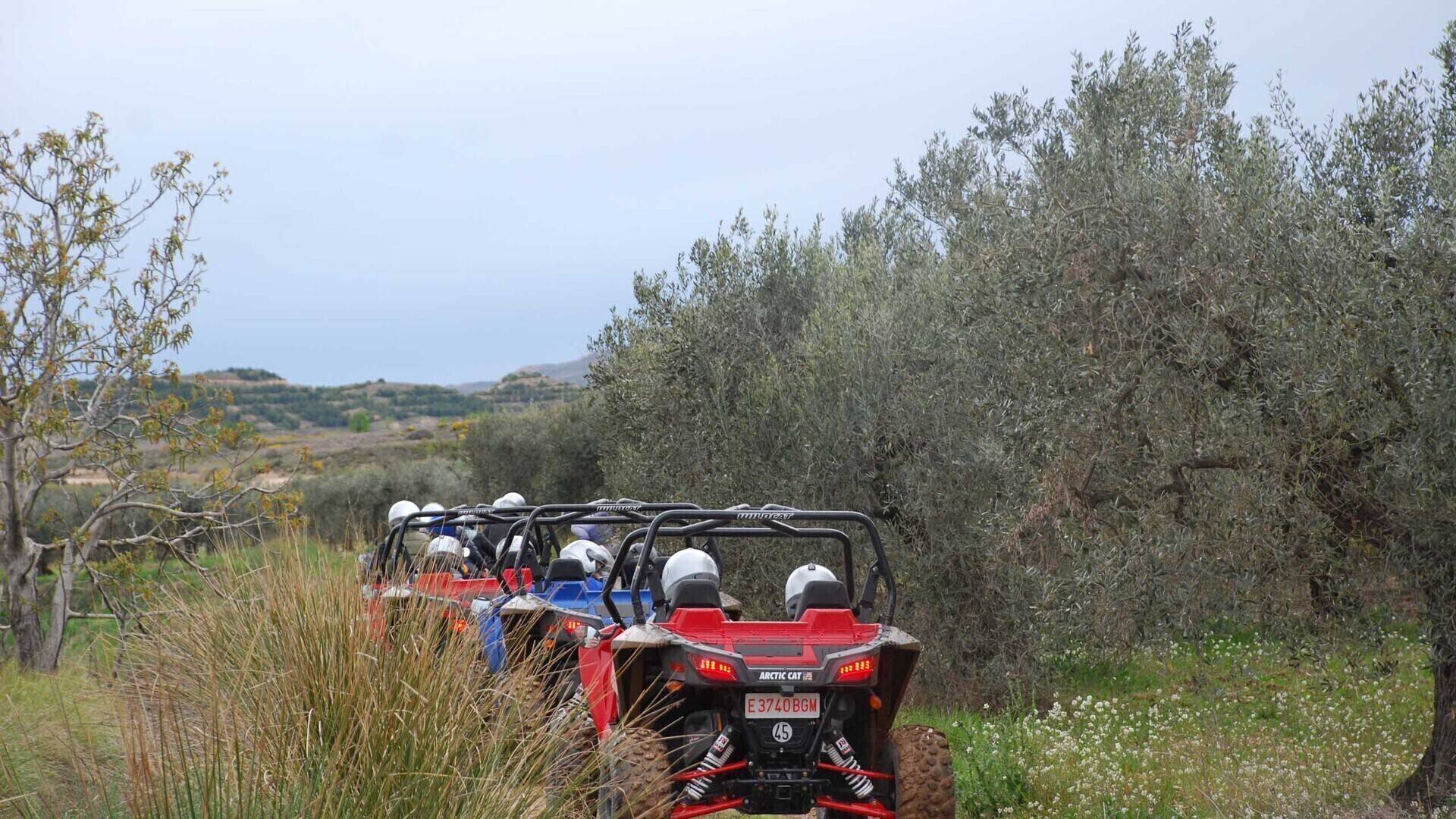 Buggy tour to explore the town of Cascante, the Laguna de Lor reservoir and thousand-year-old olive trees