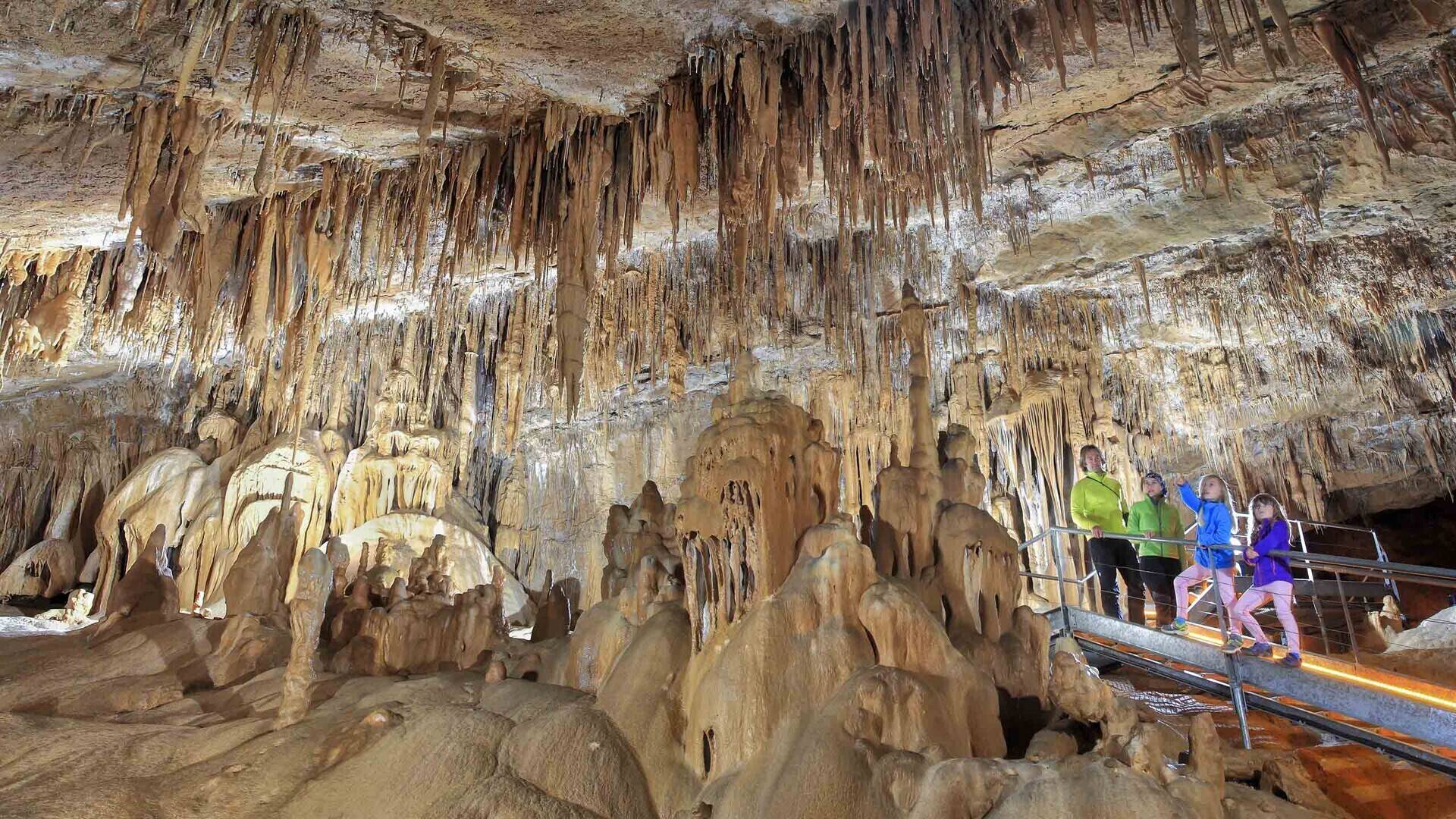 Visite guidée de la grotte de Mendukilo