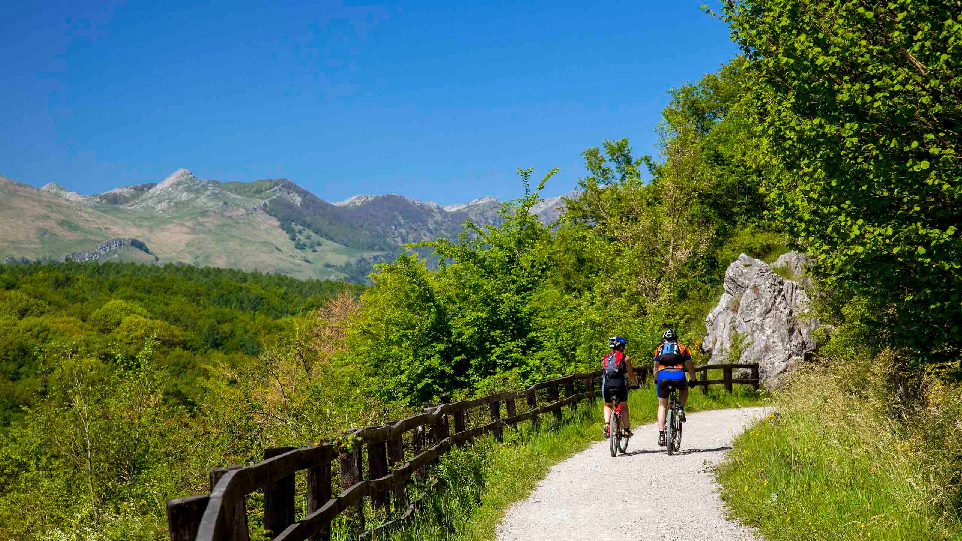 Faites du sport et restez en forme