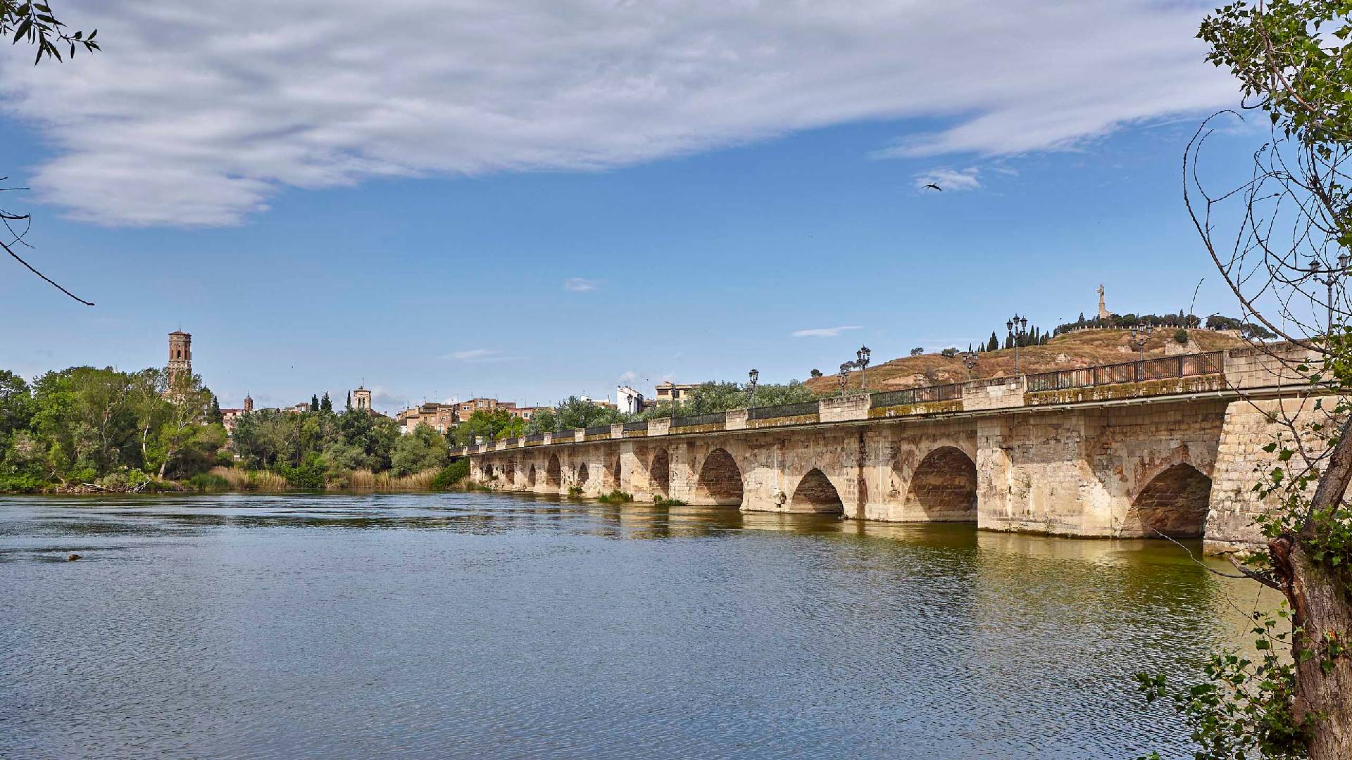 Ebro Bridge of Tudela