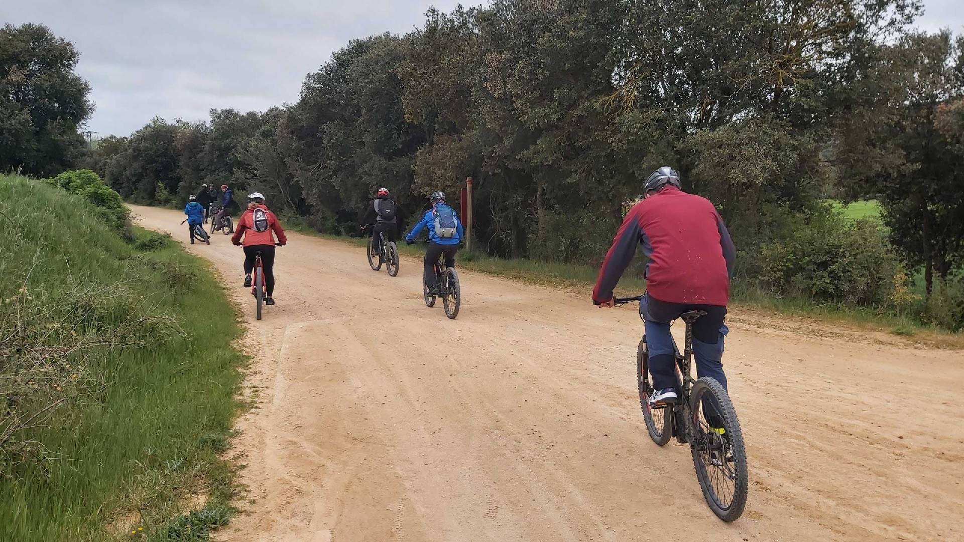 Itinéraires guidés en vélo électrique à travers Urbasa, Lokiz et Montejurra