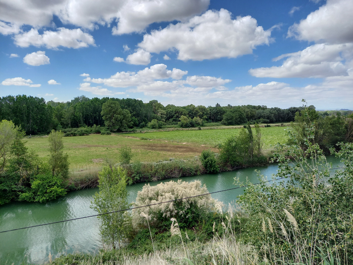 río entre campos verdes
