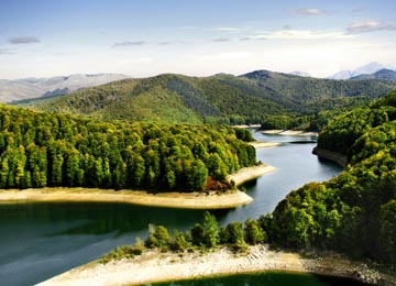 imagen aérea del embalse rodeado de árboles verdes