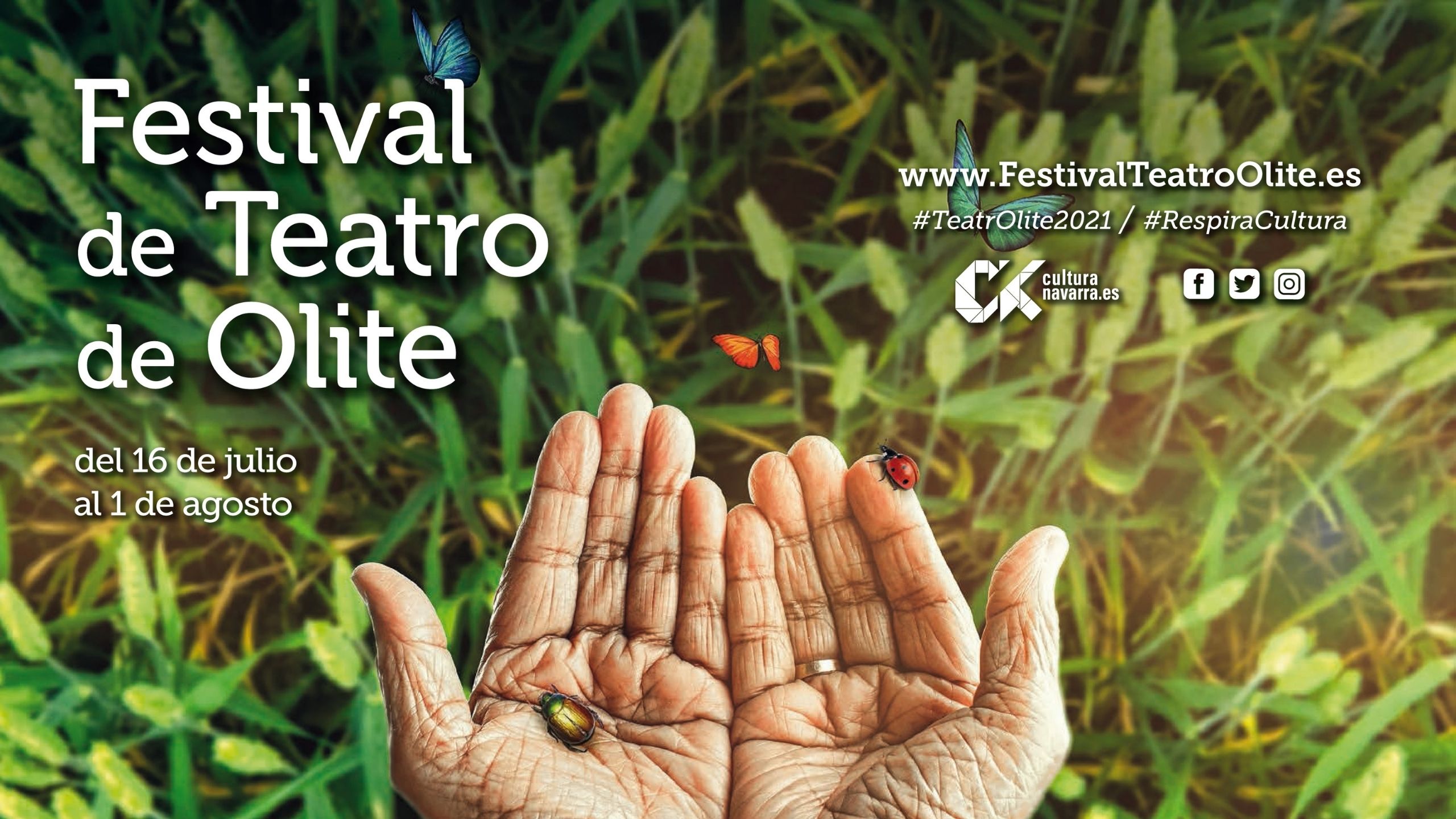 Festival de teatro de Olite