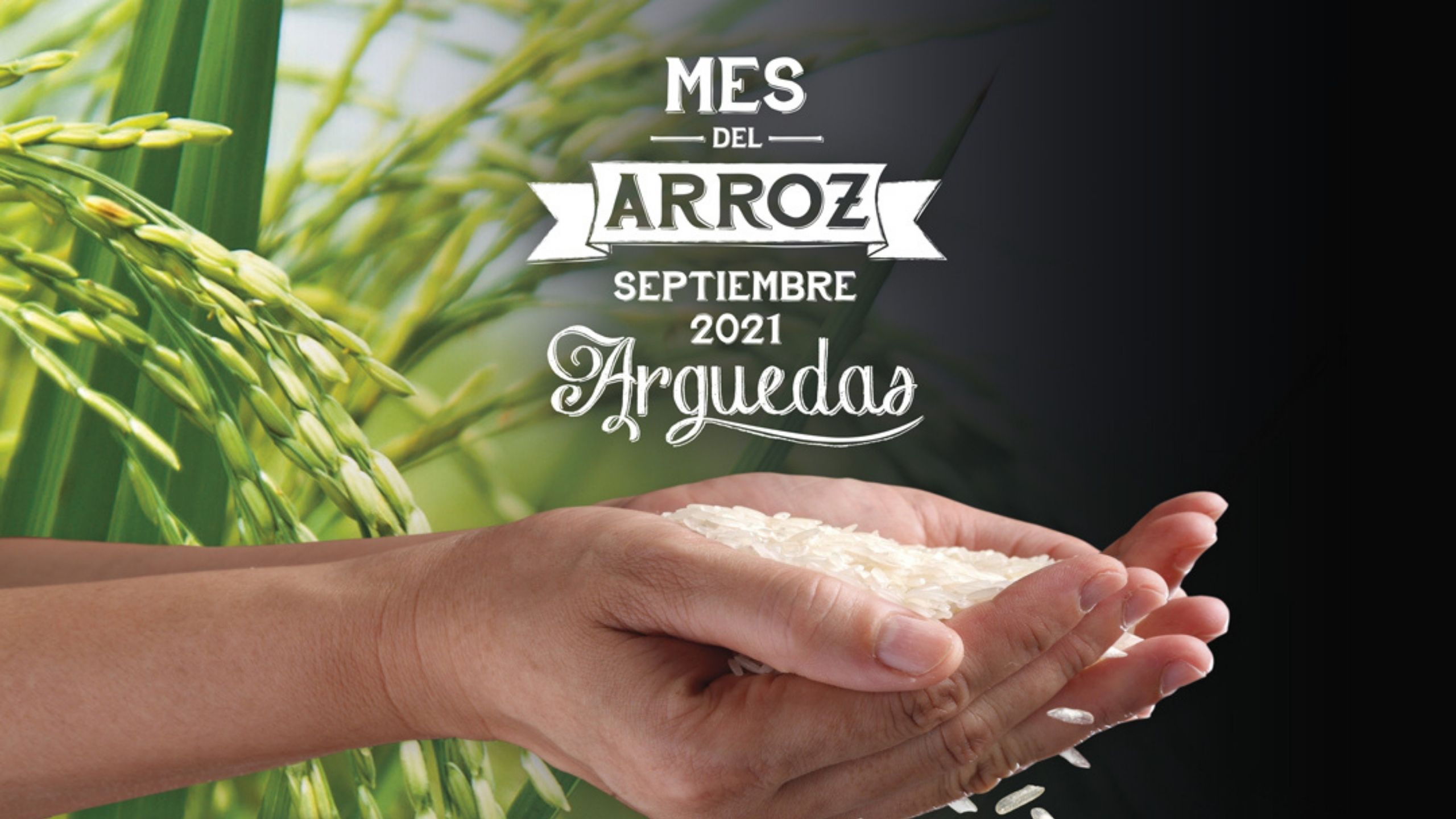 Rice Month in Arguedas