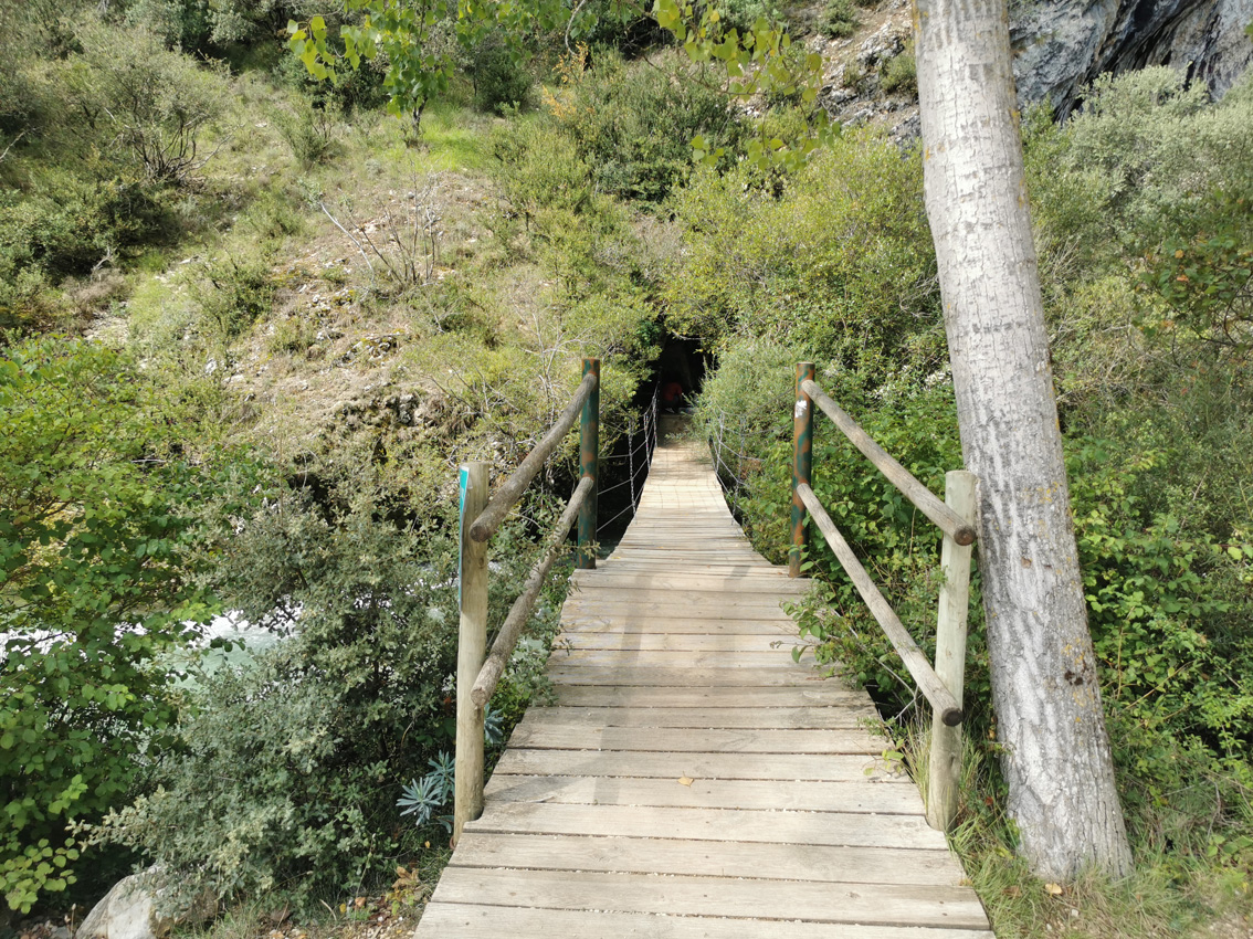 pasareal de madera sobfre el río