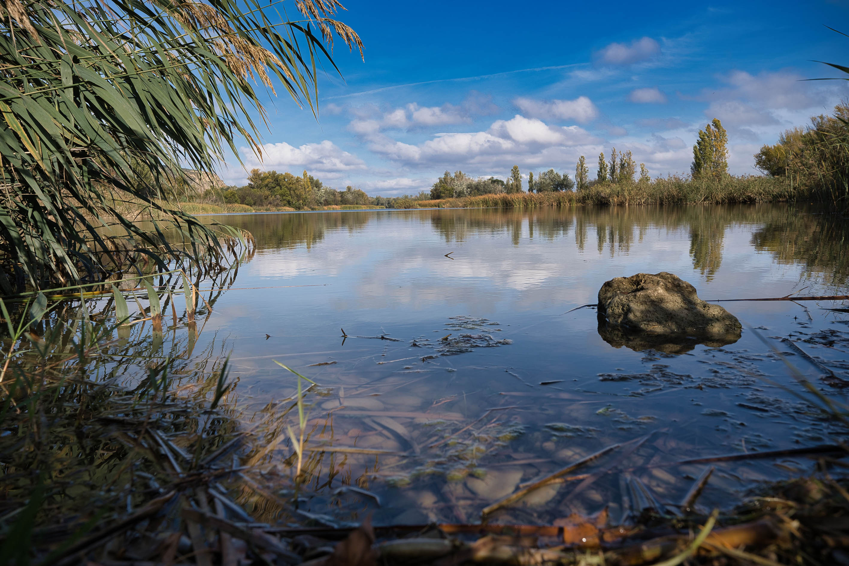 imagen del río y algún árbol