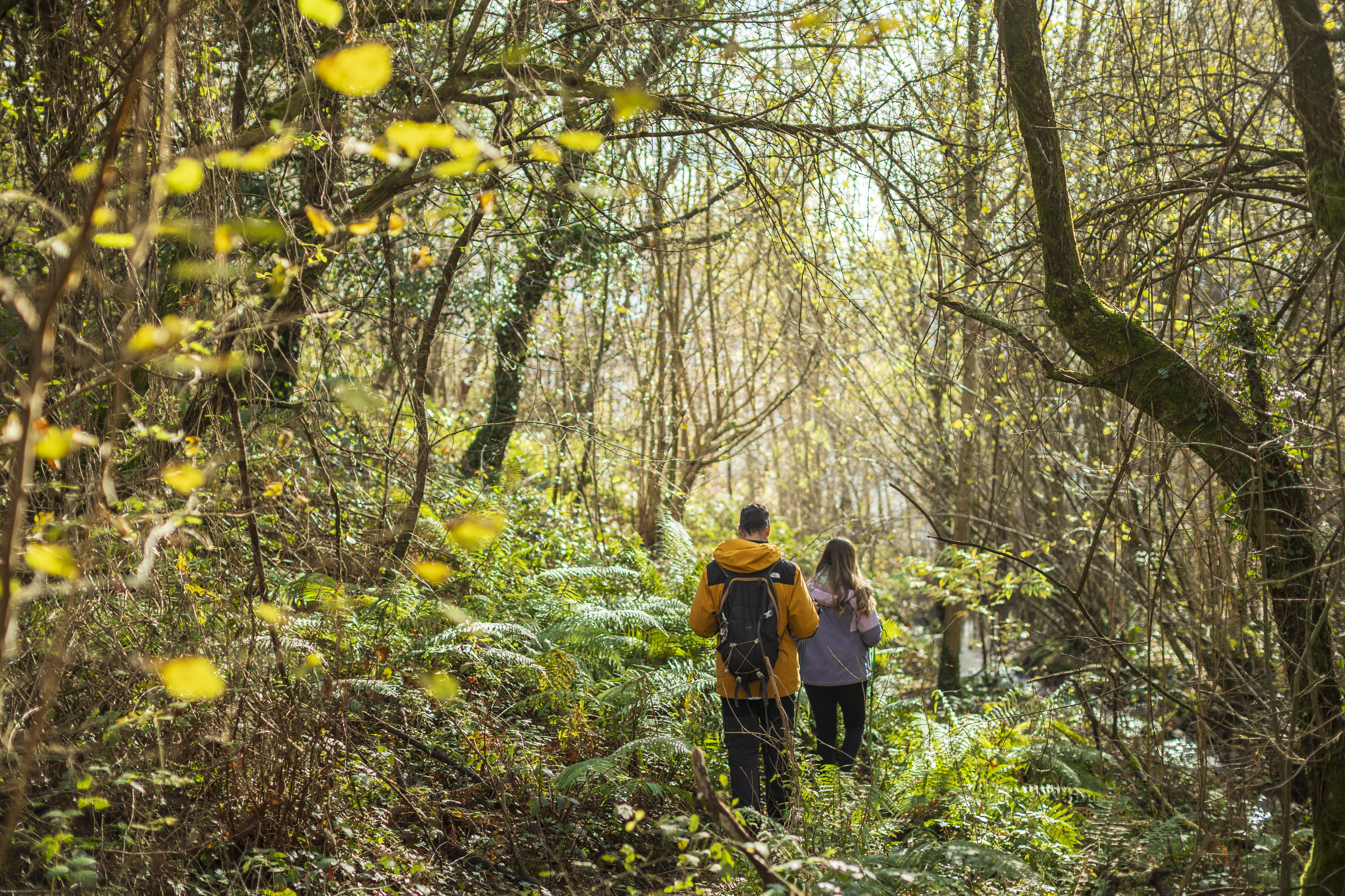 2 senderistas por el bosque del baztan