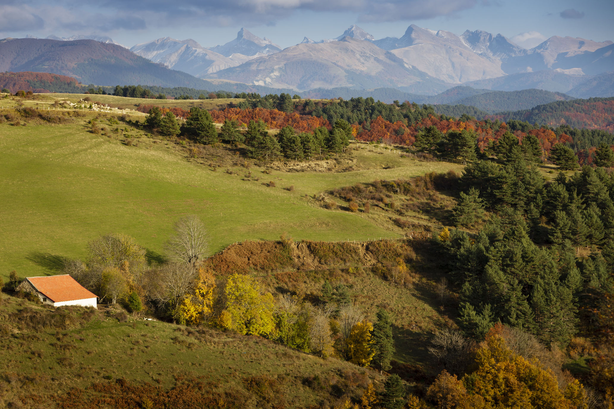 vista de prados y los Pirineos al fondo