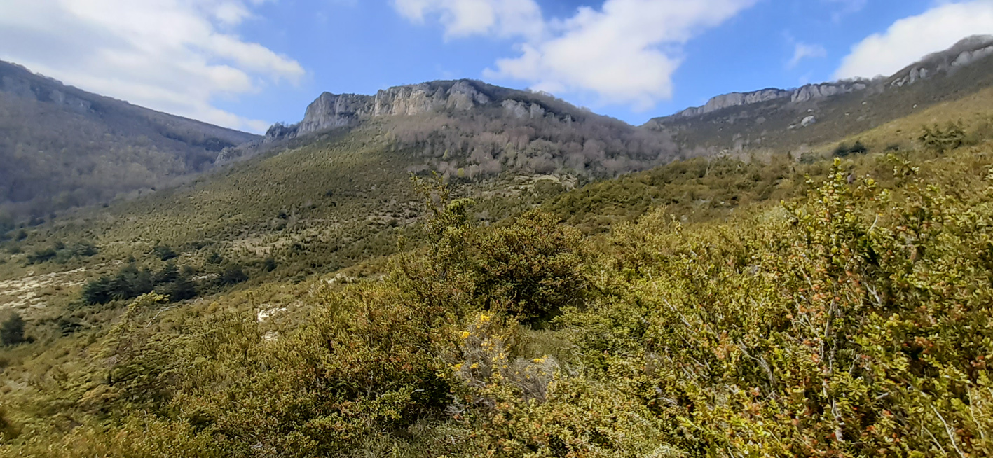Monte bajo con vegetación verde y peña