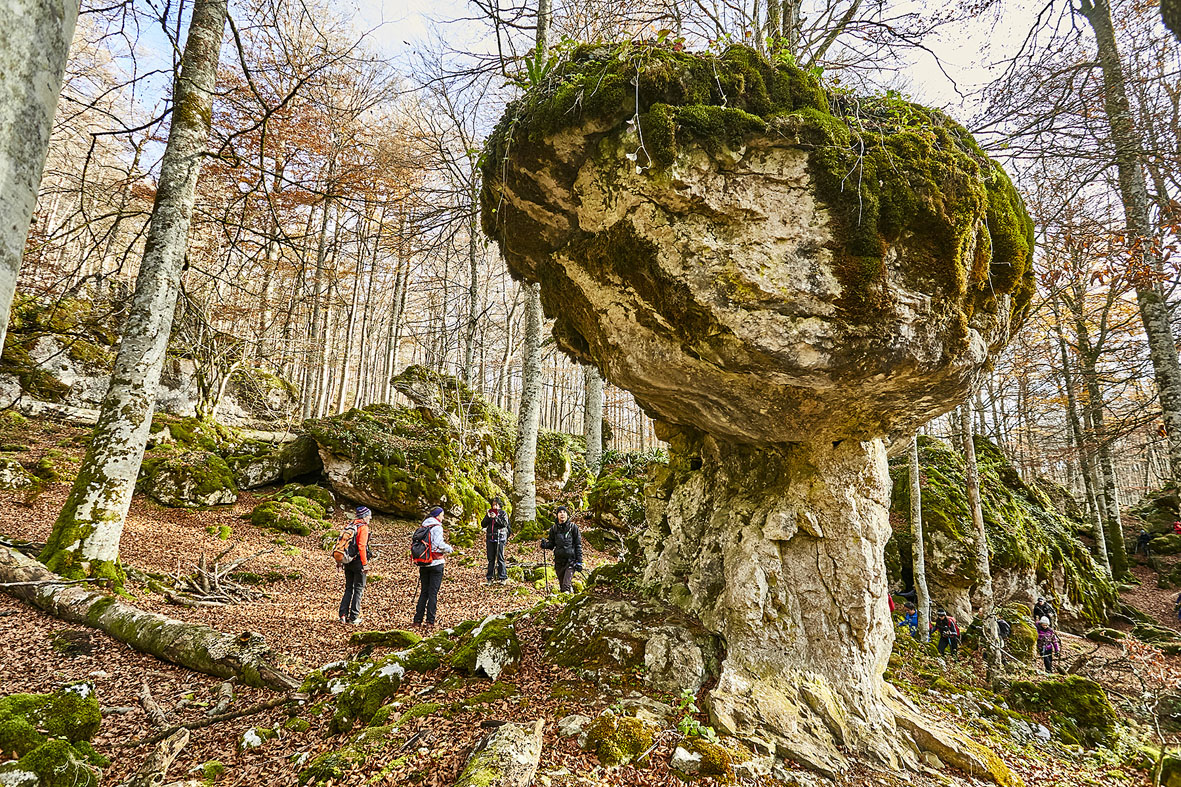 senderistas por el bosque y una roca