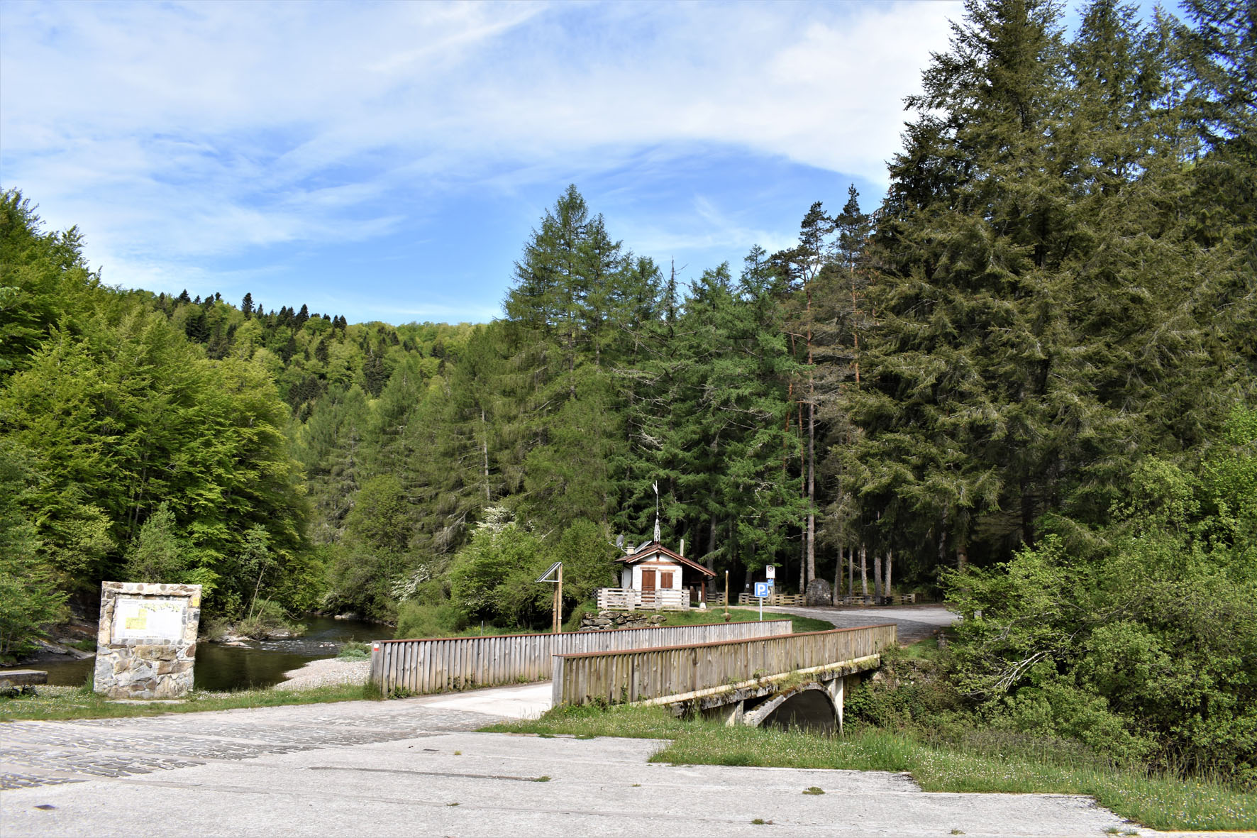 bosque de Irati
