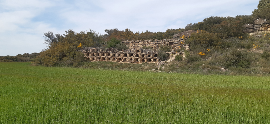 campo verde con colmenas al fondo