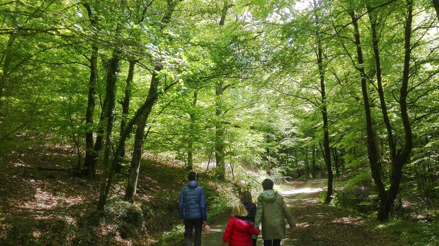 Naturaleza para sorprenderles